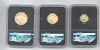 Image #1 of auction lot #1040: United States three piece set of 2021 Type II , , and 1/10-ounce Ame...