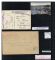 Image #2 of auction lot #590: Austrian Feldpost in Turkey during WWI. Collection of covers and perio...