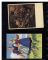 Image #4 of auction lot #531: Third Reich Propaganda Cards. Attractive assemblage of thirty-five Ger...
