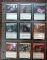 Image #4 of auction lot #1070: MAGIC: The Gathering Deckmaster Collector Cards in a 3-Ring binder, ho...