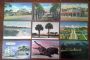 Image #3 of auction lot #555: Florida and North Carolina. Over 1,300 standard-sized postcards depict...