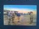 Image #2 of auction lot #561: Theodore Roosevelt and Africa. Approximately fifty picture postcards d...