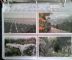 Image #4 of auction lot #547: California. Three-volume collection of 767 all-different postcards fro...