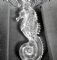 Image #2 of auction lot #1104: OFFICE PICK UP REQUIRED        Wonderful Waterford Crystal Seahorse Ce...