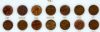 Image #2 of auction lot #1023: United States Lincoln Cent collection from 1909 to 1958-D complete for...