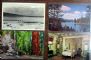 Image #3 of auction lot #606: Selection of California postcards. Just over 630 items....