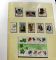 Image #4 of auction lot #49: United States collection in ten volume Lindner hingeless albums and ha...