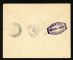Image #2 of auction lot #612: Switzerland Graf Zeppelin South America cacheted First Flight cover ca...