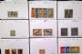Image #4 of auction lot #288: Neatly arranged on 102 size sales cards but never offered for sale. Al...